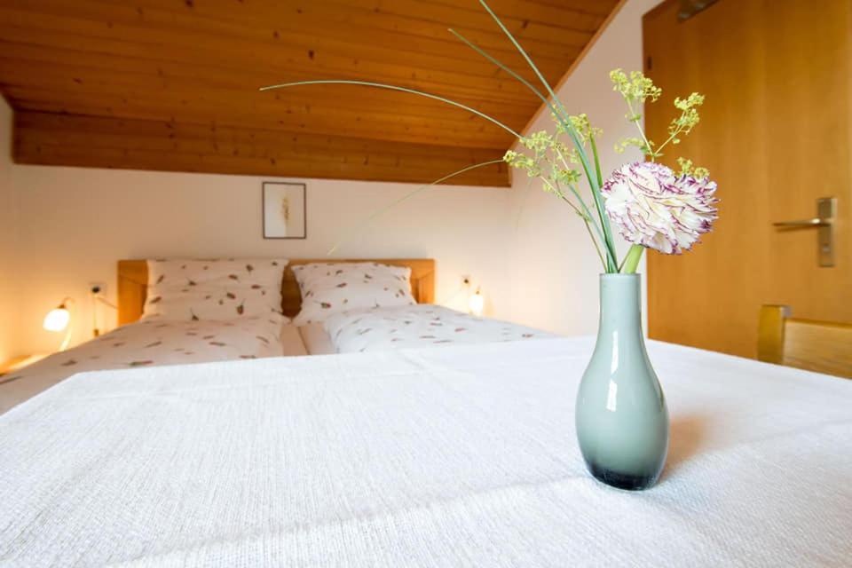 Vila 57 Hotel 티라나 외부 사진